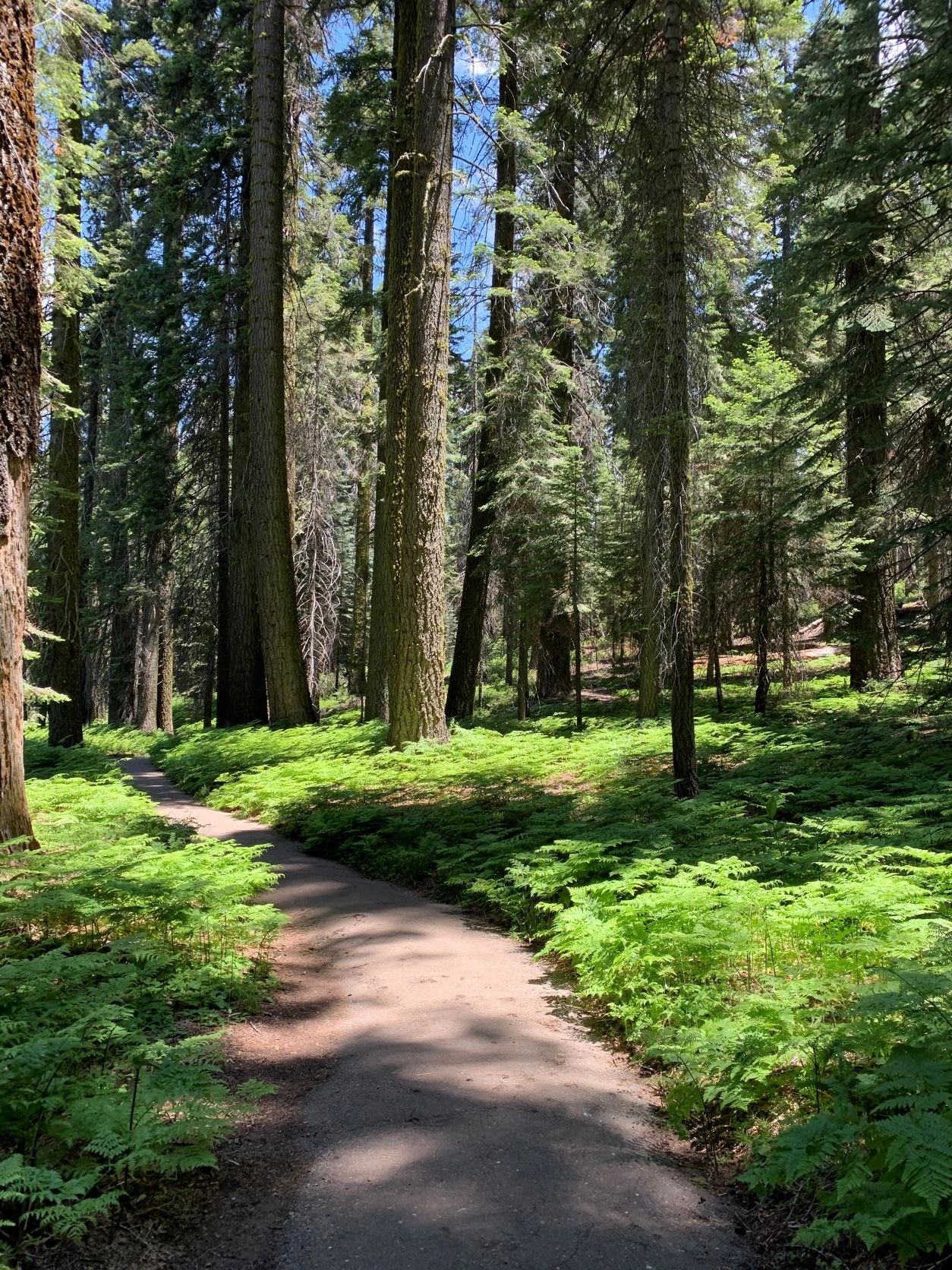 Crescent meadow loop hotsell